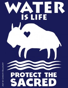 waterislifewhitebuffalo